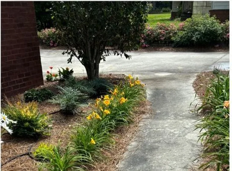 Front walkway: before